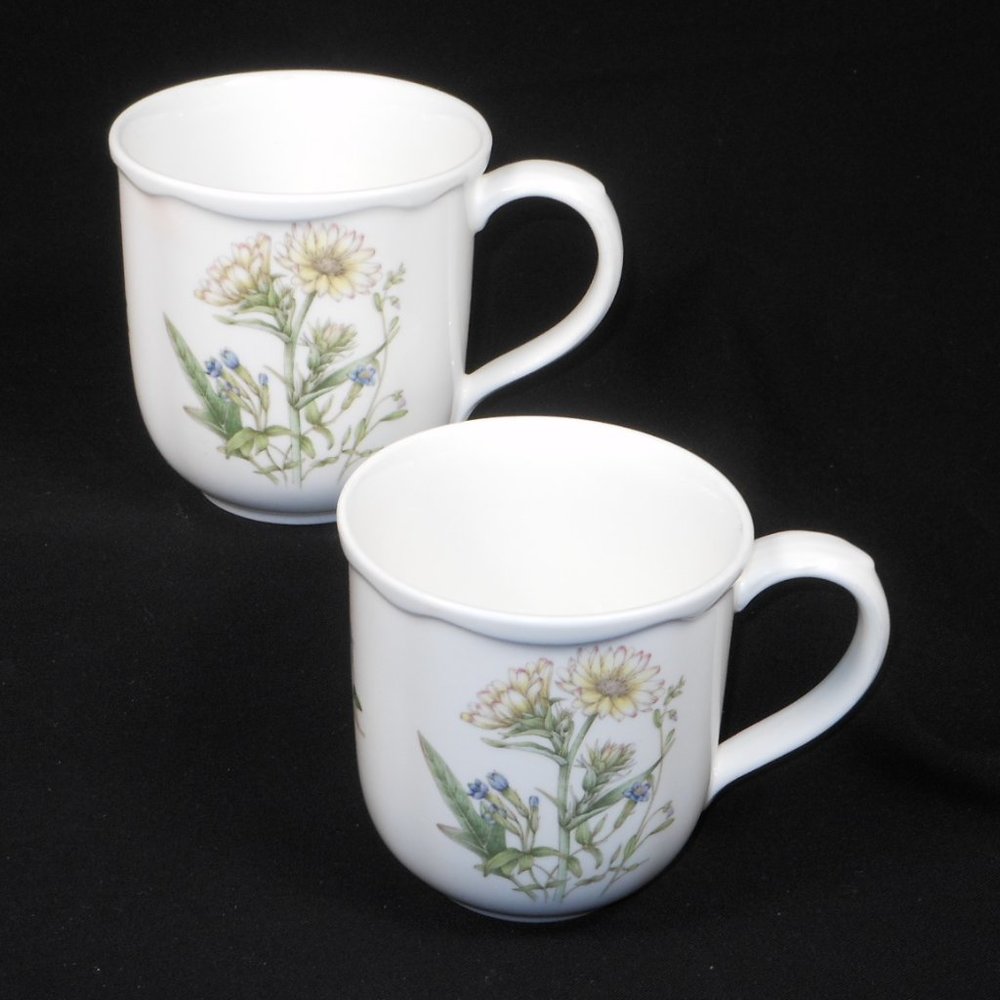 2 coffee mugs. Noritake Casual Gourmet Garden 7940/10